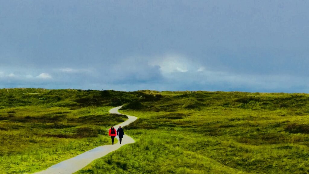Two cofounders walking together on a winding path through open landscape, symbolising early alignment before cofounder misalignment sets in