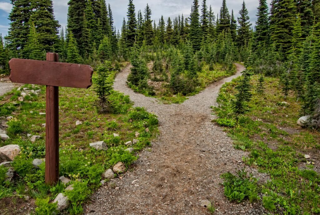 A forest trail splitting into two diverging paths with a blank signpost — a metaphor for cofounder misalignment and ambition diverging