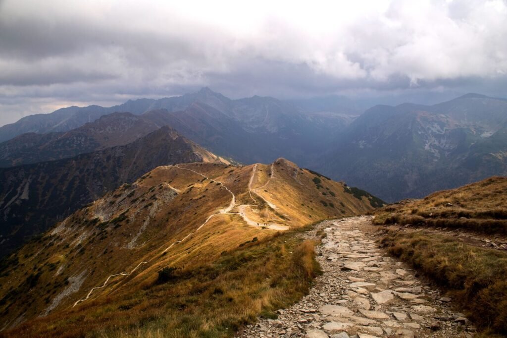 Mountain path winding across a ridge, representing pathways to co-founder alignment